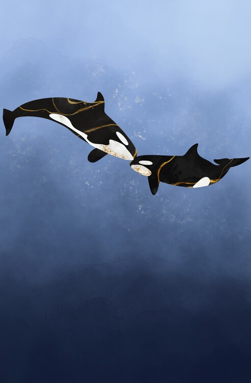 Poster Marble orcas