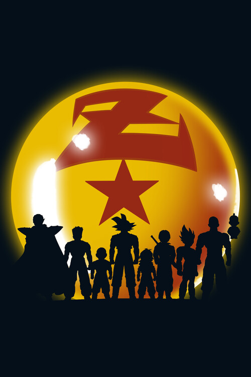 Poster Z Warriors