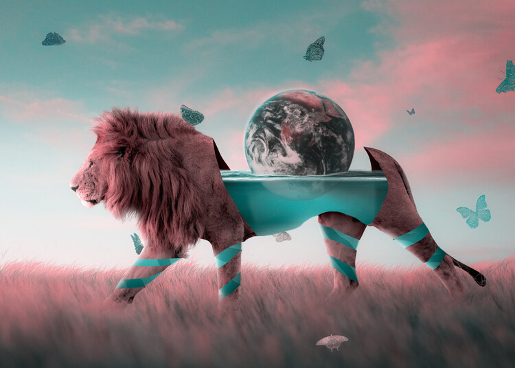 Póster The King & The World