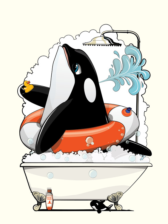 Poster Orca in the Bathtub