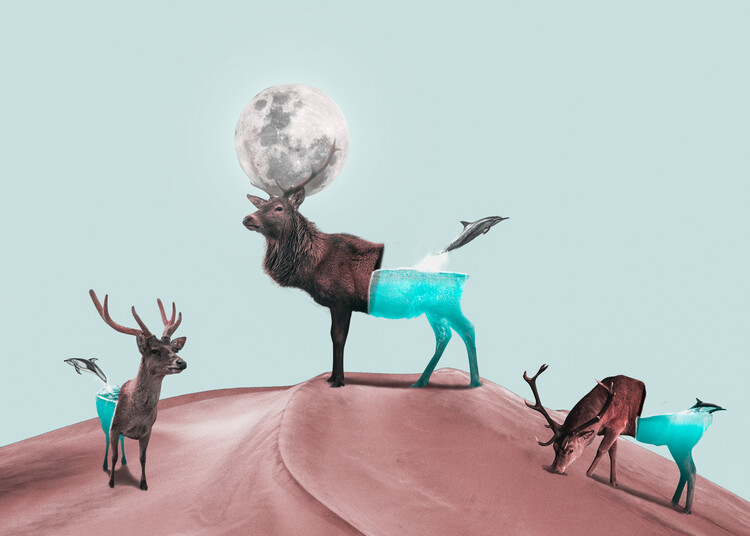 Plakát Magical Deers