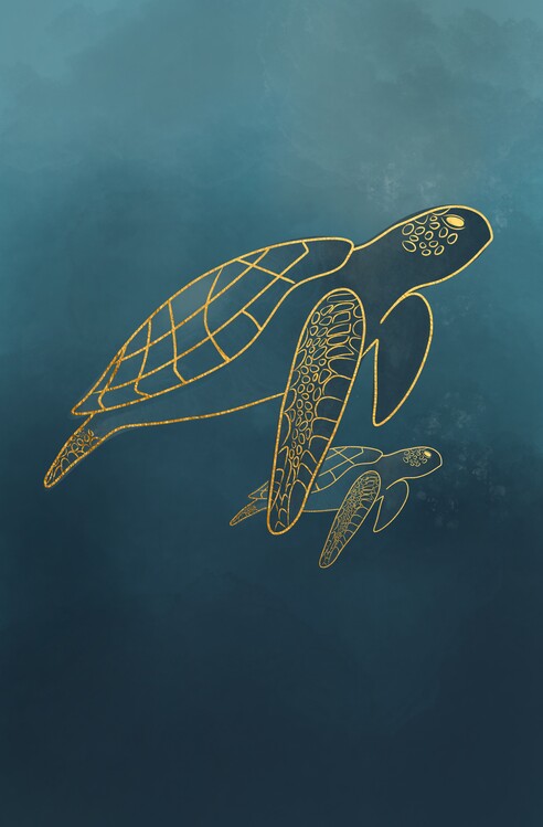 Poster Turtles