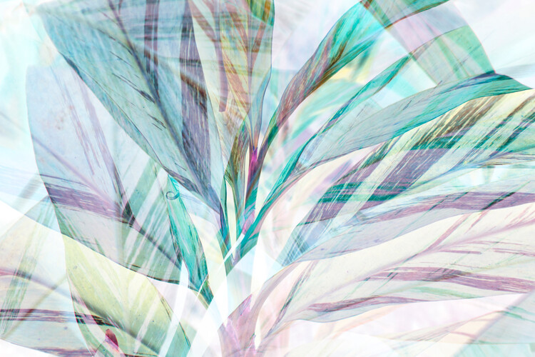 Poster Teal Foliage