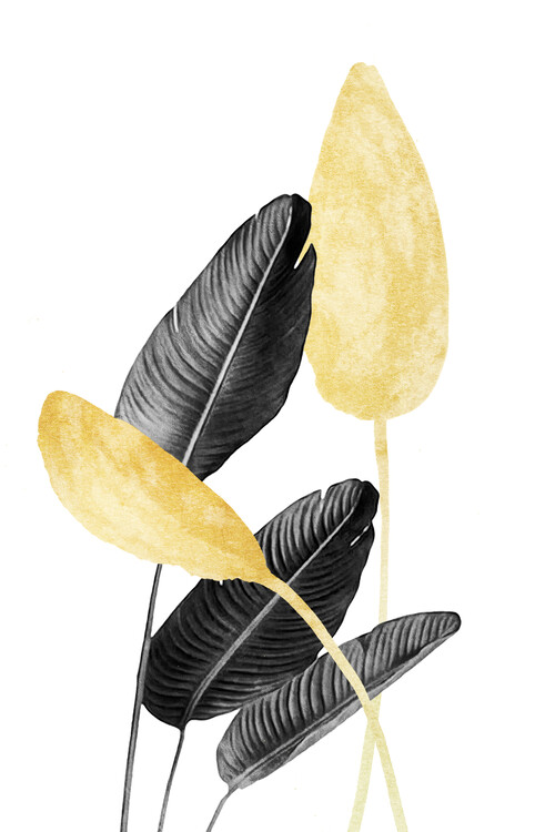 Poster Bird of Paradise Plant Black, White and Gold 02