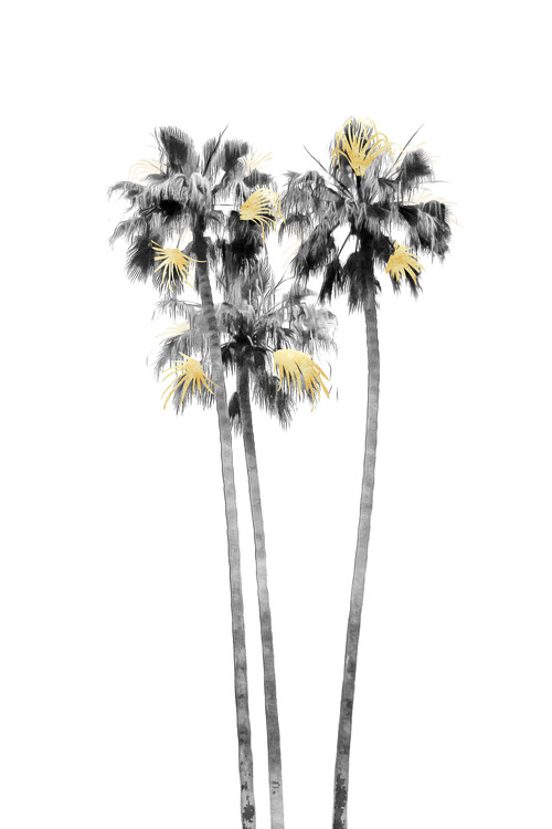 Poster Palm Tree Black, White and Gold 03