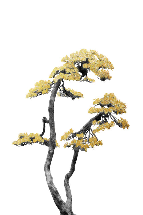 Poster Bonsai Tree 06