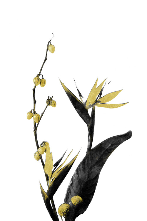 Poster Flower Minimal Black and Gold 02