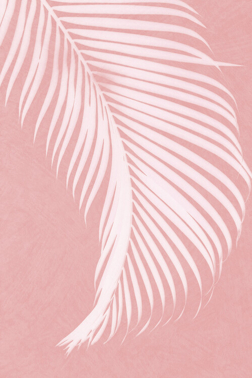 Poster Palm Leaves on Pink I