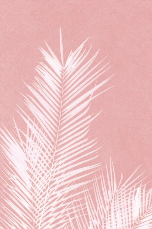 Poster Palm Leaves on Pink II