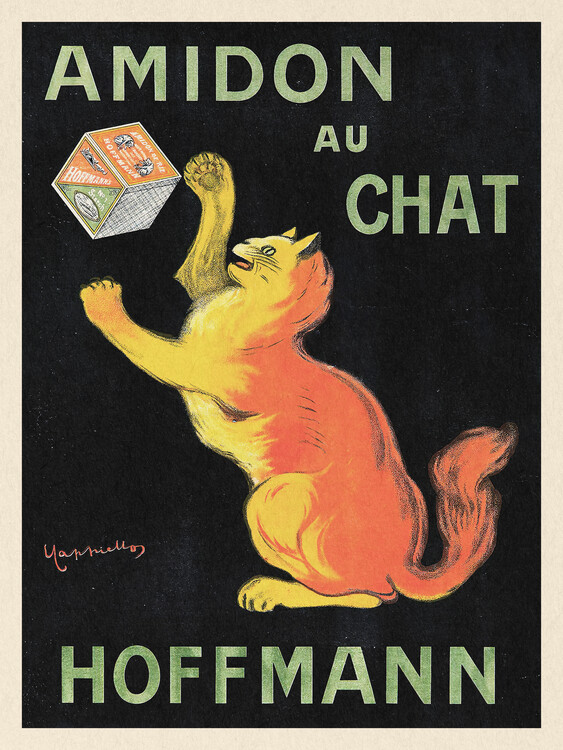 Canvas Print Cat Starch