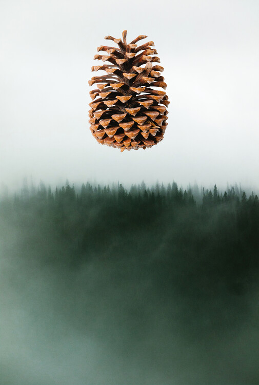 Плакат BEYOND THE FOG OF THE FOREST #2