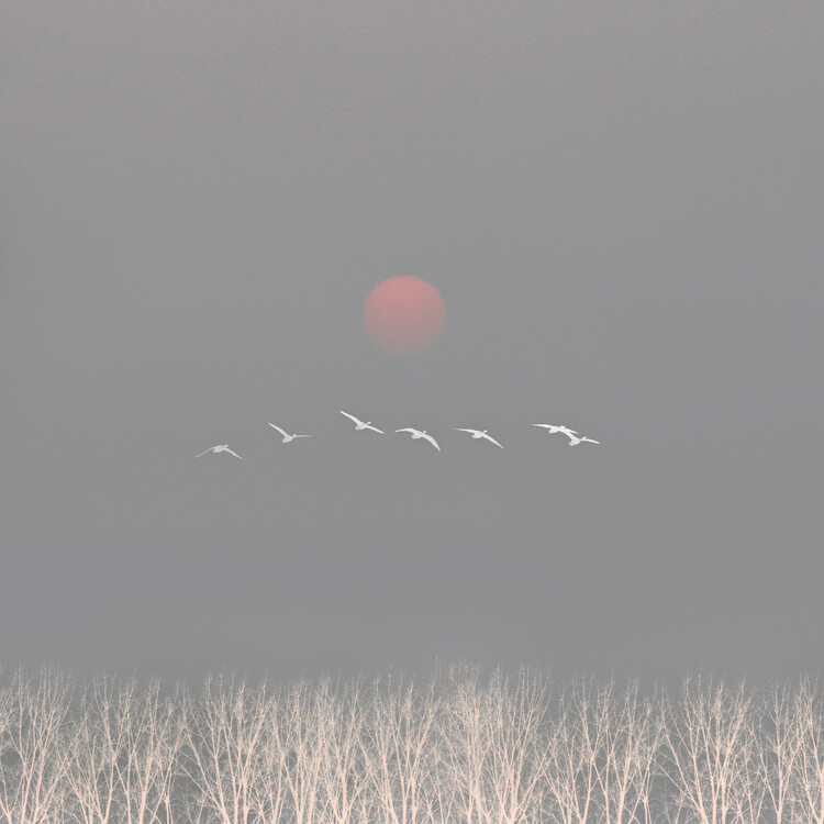 Poster There are gods in the sky