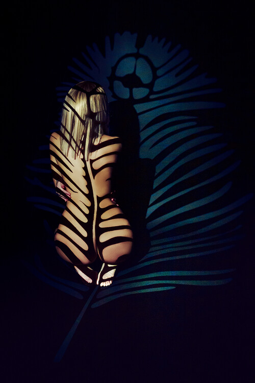 Poster Dark Summer