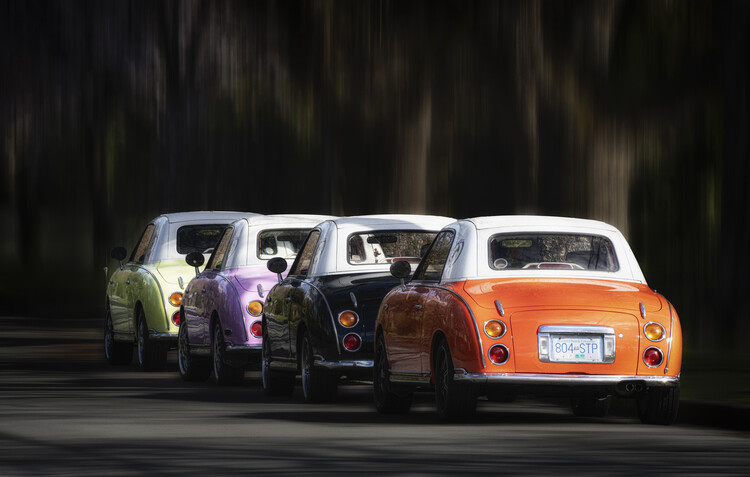 Poster Colourful Spring