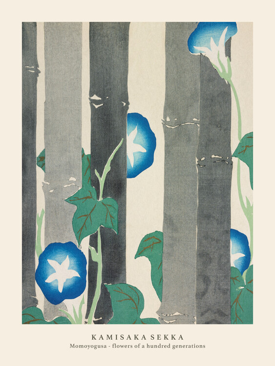 Poster Morning Glories (Special Edition Japandi Vintage) - Kamisaka Sekka