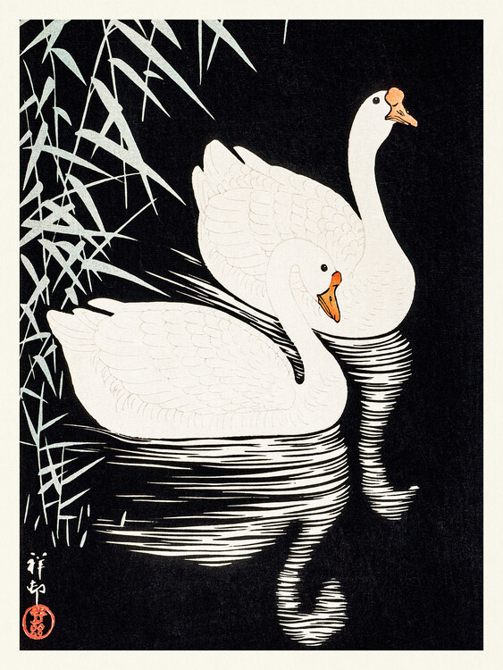 Plakát White Chinese Geese (Japandi Vintage) - Ohara Koson