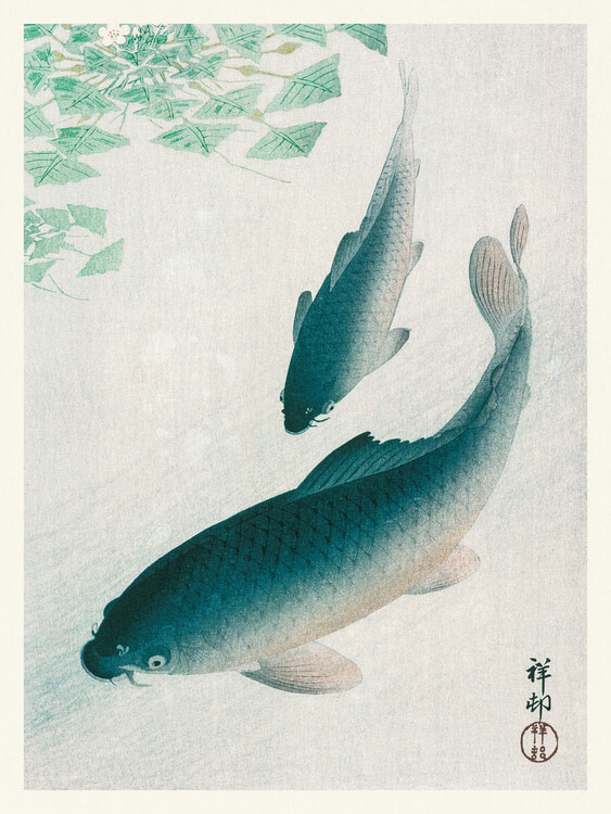 Poster Two Carp Fish