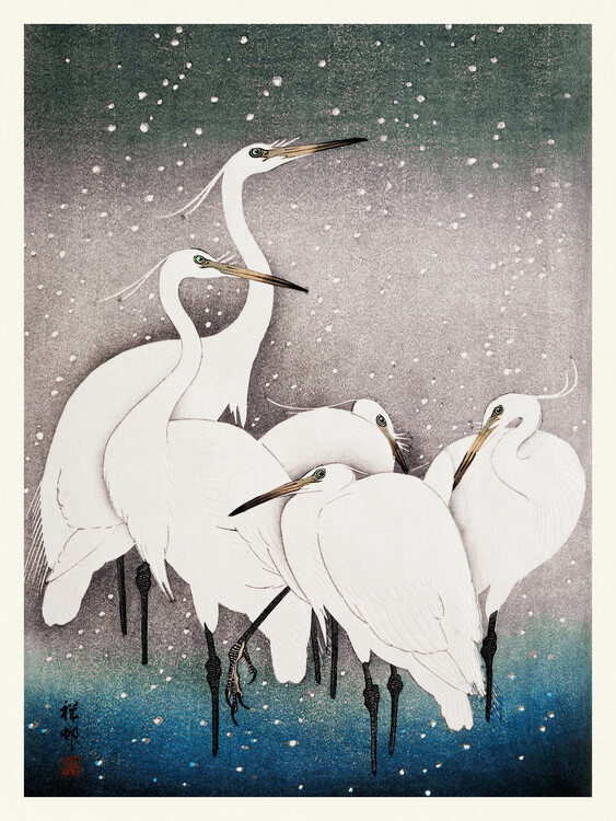 Poster Group of Egrets