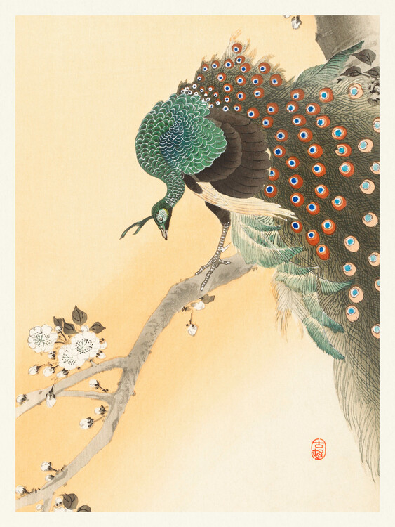 Poster Peacock & Cherry Blossom