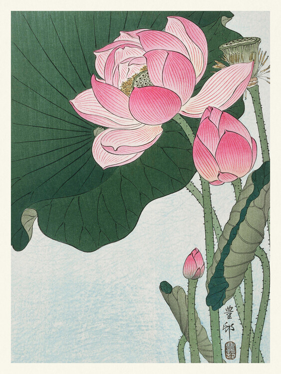 Wall Mural Blooming Lotus
