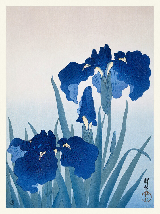 Wall Mural Blue Iris Flowers