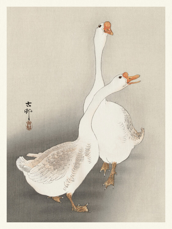 Levně Plakát, Obraz - Two Geese, Ohara Koson, 30 × 40 cm