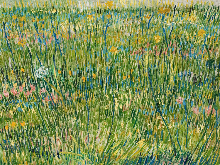 Canvas Print A Patch of Grass