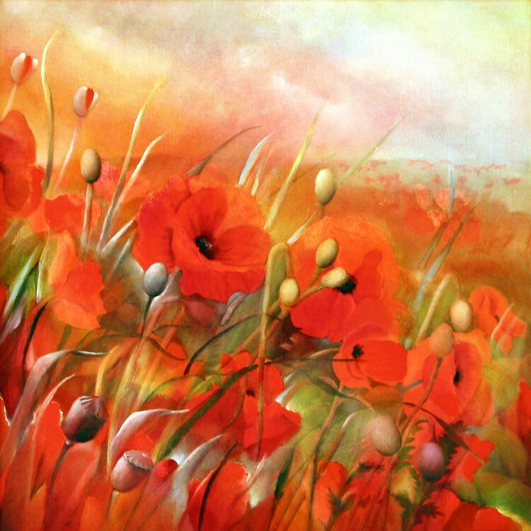 Poster Poppy fields