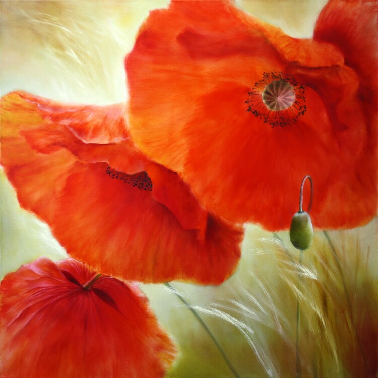 Плакат Three Poppies