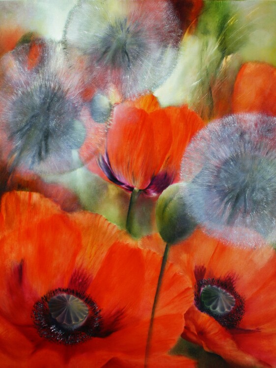 Плакат Poppies and dandelions_