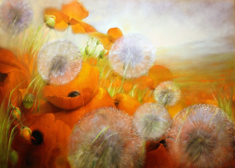 Плакат Poppies and dandelion in evening light