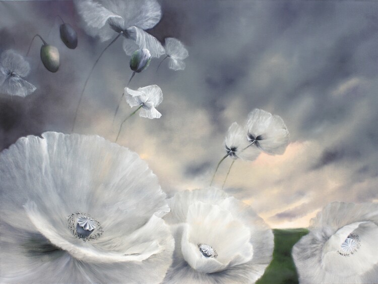 Плакат Poppies - like flying away