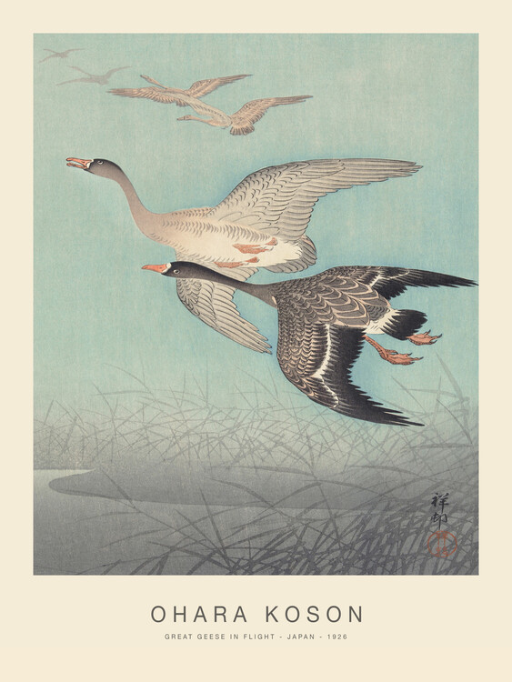 Poster Great geese in flight (Special Edition) - Ohara Koson