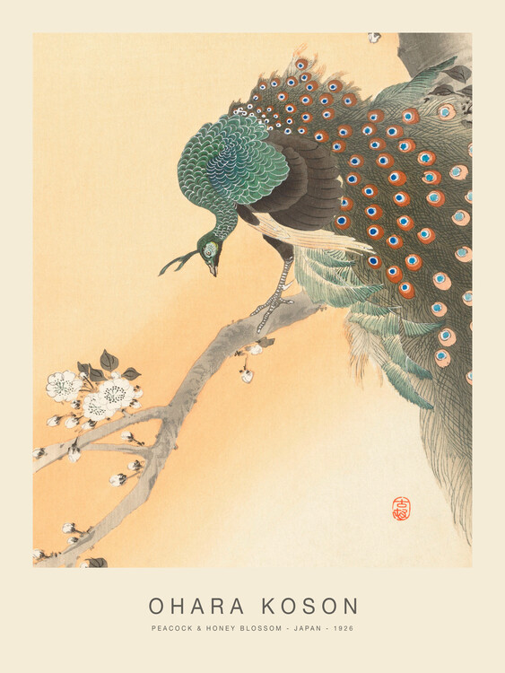 Poster Peacock & Honey Blossom (Special Edition) - Ohara Koson