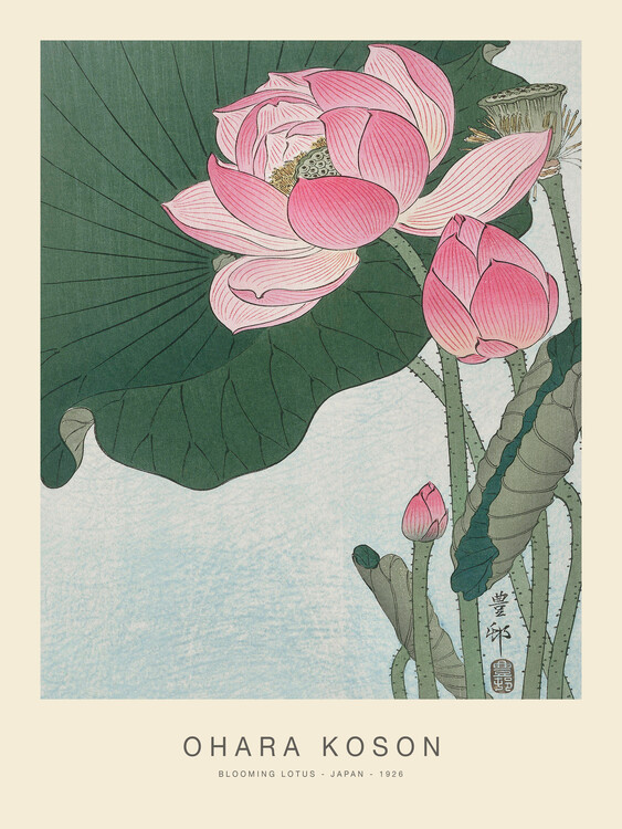 Canvas Print Blooming Lotus (Special Edition) - Ohara Koson