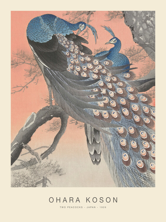 Wall Mural Two Peacocks (Special Edition) - Ohara Koson copy