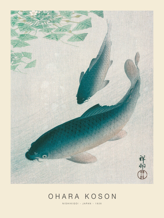 Poster Nishikigoi, Two Koi Carp Fish (Special Edition) - Ohara Koson