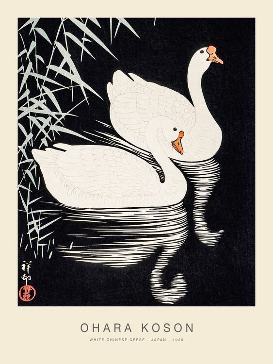 Obraz na plátně White Chinese Geese (Special Edition) - Ohara koson