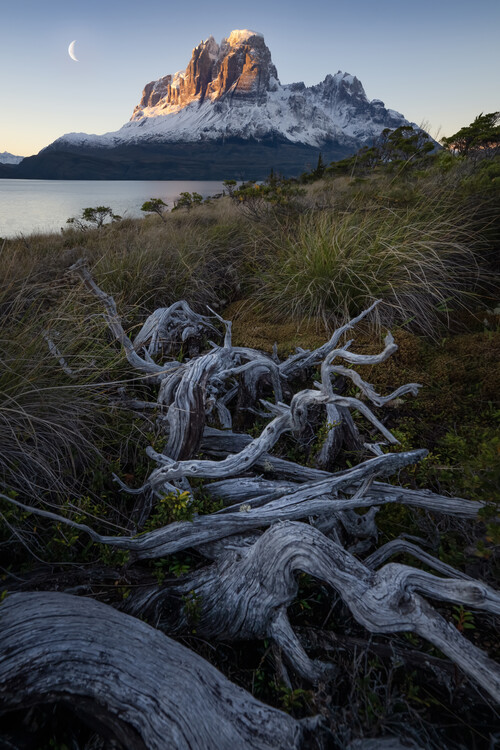 Póster Moonrise In Patagonian