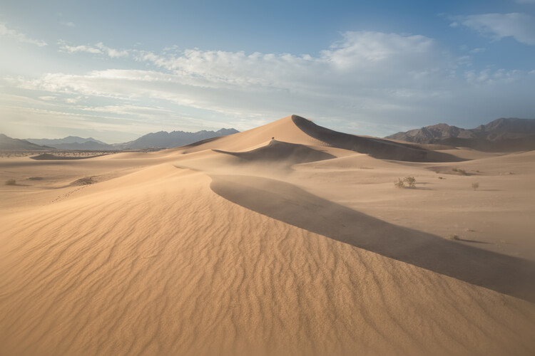 Póster Sandstorm At Ibex