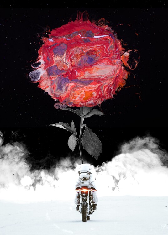 Poster My Little Flower