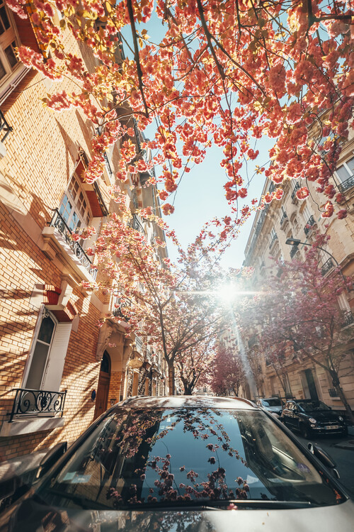 Poster Playing With Flowers
