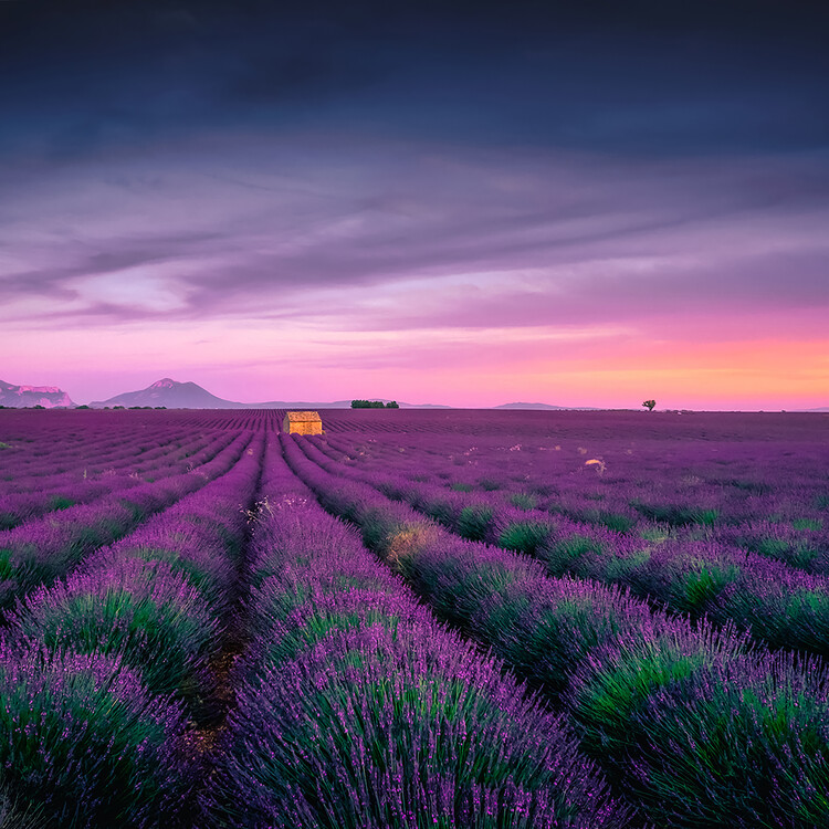 Póster Sunset Over The Provence