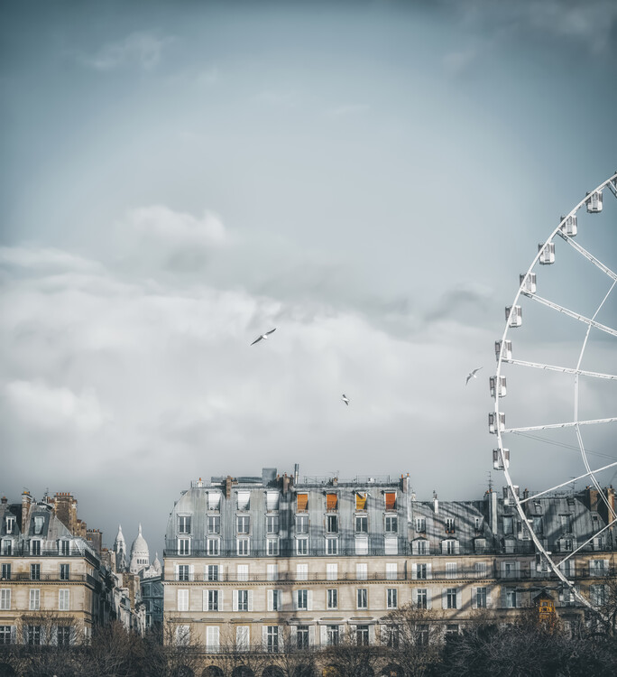 Póster Jardin Des Tuileries