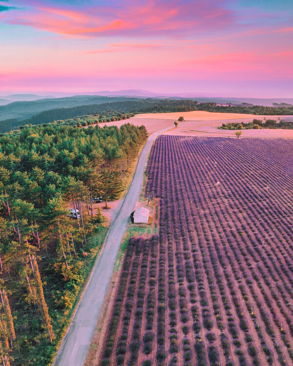Poster Do You Smell That?