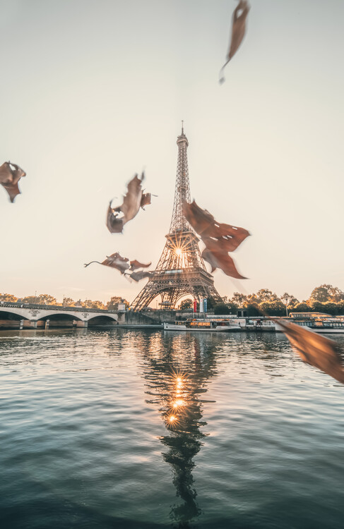 Poster Dancing With The Leaves