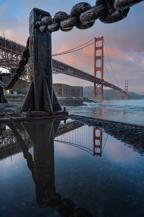 Poster Golden Puddle