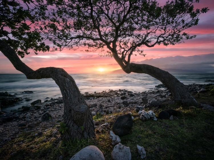 Póster Maui Sunset