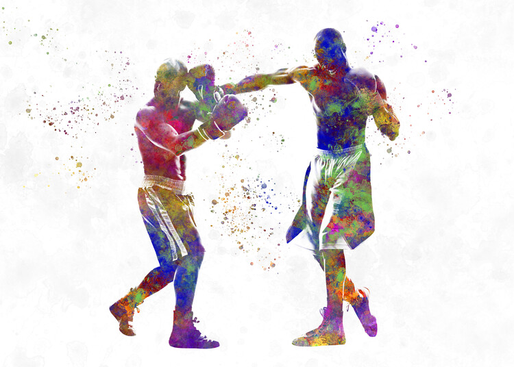 Juliste watercolor boxer
