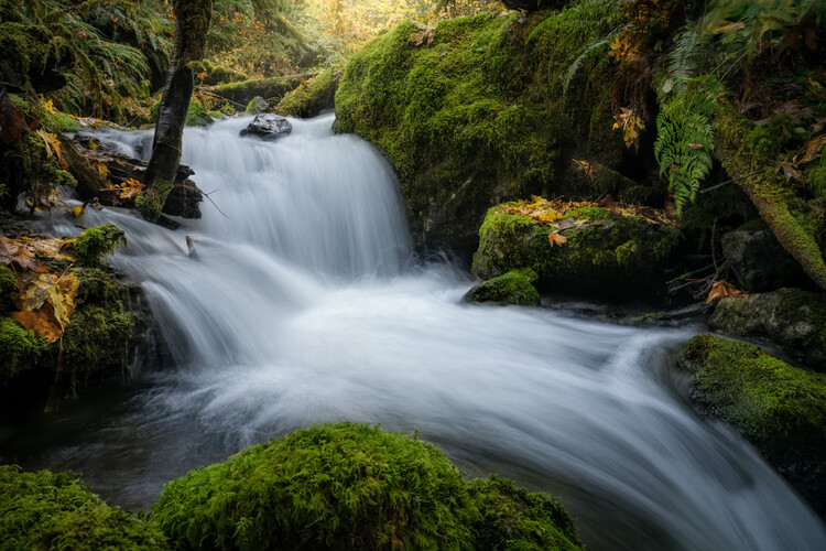 Juliste Quinalt Waterfall